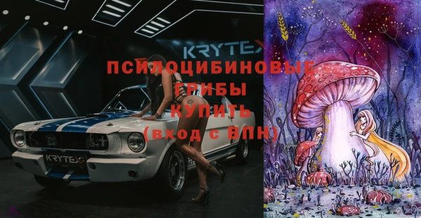 мяу мяу мука Бородино