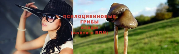 мяу мяу мука Бородино