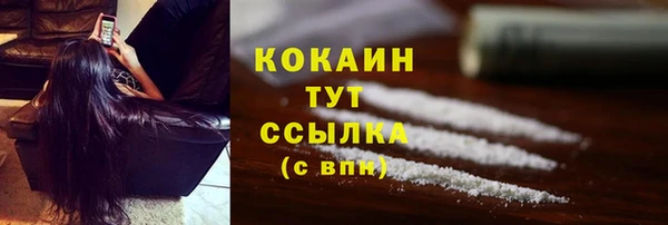 мяу мяу мука Бородино