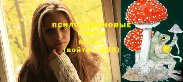 ECSTASY Бронницы