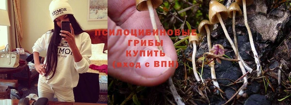 мяу мяу мука Бородино