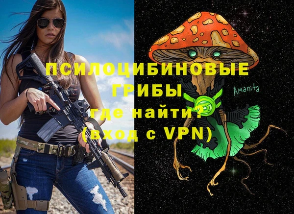мяу мяу мука Бородино